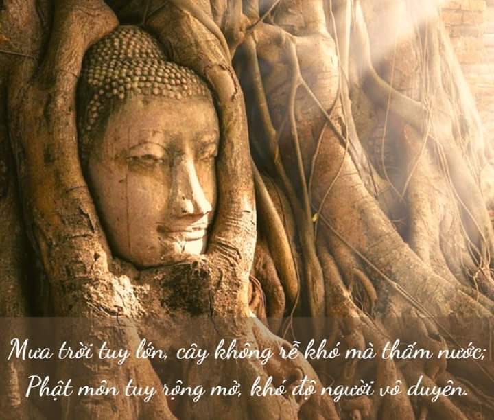 Những câu nói Phật dạy về cuộc sống ý nghĩa nhất