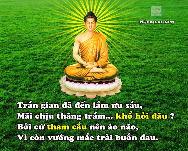 Những câu nói Phật dạy về cuộc sống ý nghĩa nhất